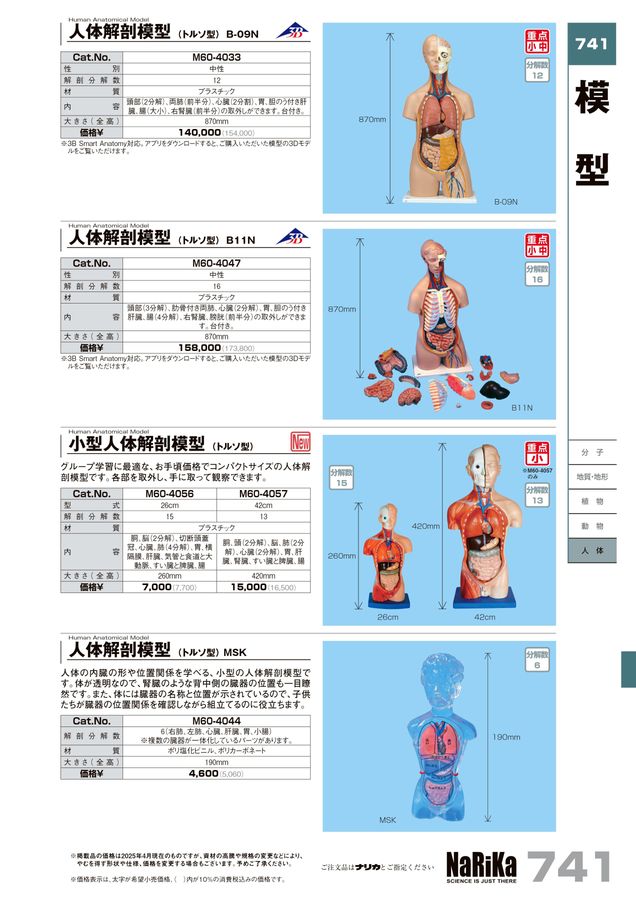 Bc耳臨床54例集+臓器躯体ラミネート加工+解説プリント13set 男性泌尿生殖器系 - 人体臓器解剖モデル 男性学骨盤構造モデル