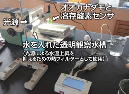 オオカナダモの光合成速度測定 飯田勇次先生