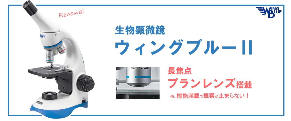美品 顕微鏡 実験 理科 科学（UCHIDASウチダス双眼実体顕微鏡 