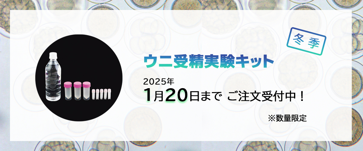 りかページ 11524664001-a4o.jpg?ts=
